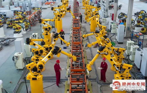 贛州農業學校與扶壯學校 職業教育與扶貧扶智的雙重使命